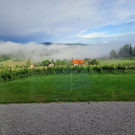 Pocitniska Hisa Parkfield Dragovan Metlika Buitenkant foto